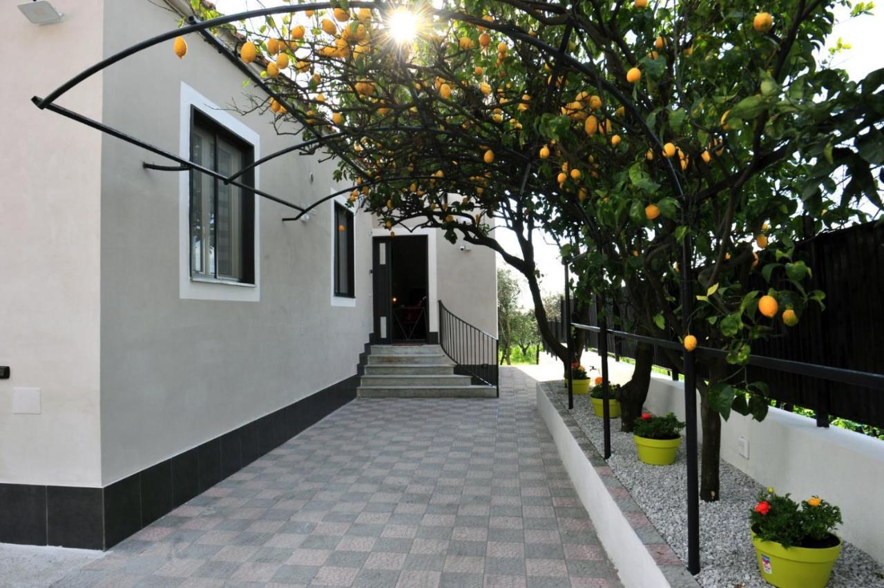 B&B Guest Armonie Torre del Greco Luaran gambar