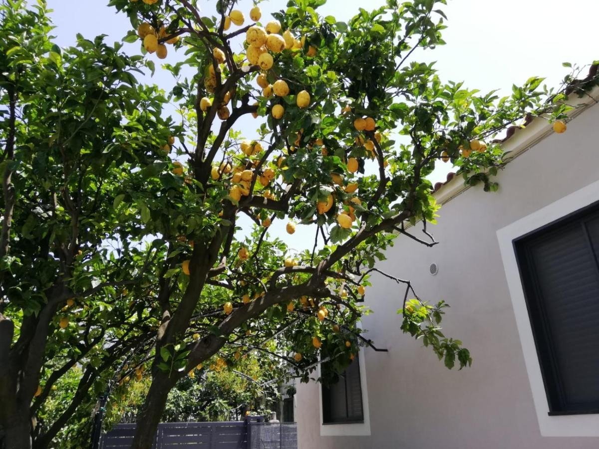 B&B Guest Armonie Torre del Greco Luaran gambar